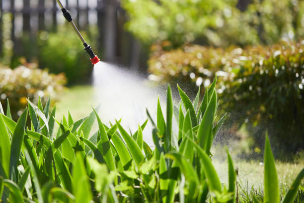 24/7 Emergency Mosquito Control experts in Brentwood, CA