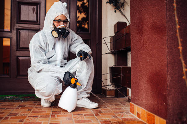 Reliable Mosquito Control contractor in Brentwood, CA by Show Me Pest Control